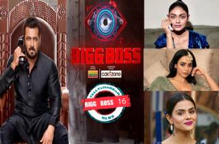 Bigg Boss 16: Sreejita De reveals if Priyanka or Soundarya missed Ankit and Gautam