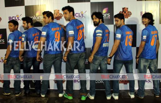 Launch of BCL team 'Chandigarh Cubs'