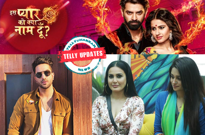 vivek dahiya feels good breaking monotony kamya to enter bigg boss 12 this is the reason why aly is vivek dahiya feels good breaking monotony kamya to enter bigg boss 12 this is the reason why aly is