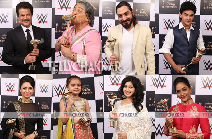 13th Indian Telly Awards: Complete List of Winners 13th Indian Telly Awards: Complete List of Winners