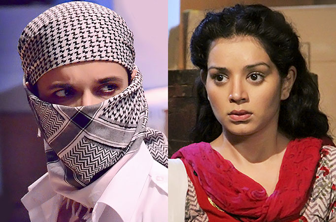 Aamir Ali and Sukirti Kandpal Aamir Ali and Sukirti Kandpal
