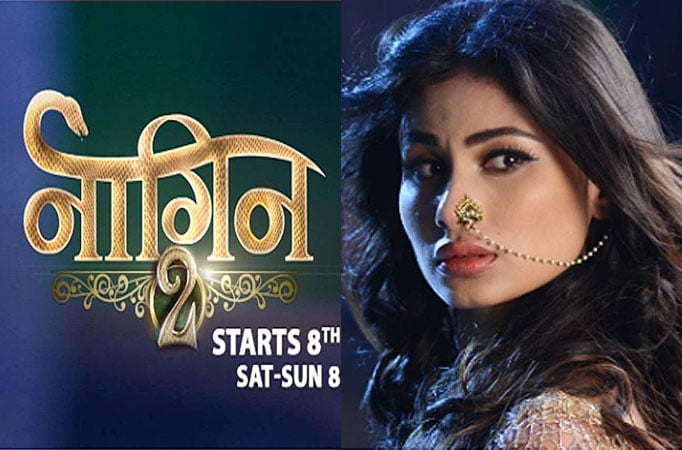 Naagin 2 Naagin 2