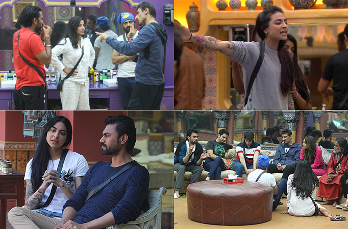 Bigg Boss 10: Synopsis Day 29 Bigg Boss 10: Synopsis Day 29