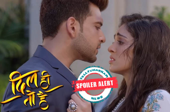 Ritvik and Palak to consummate before marriage in Dil Hi Toh Hai Dil Hi Toh Hai