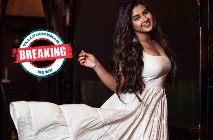 Roshini Walia to make a comeback with Sony TV’s next? Roshini Walia