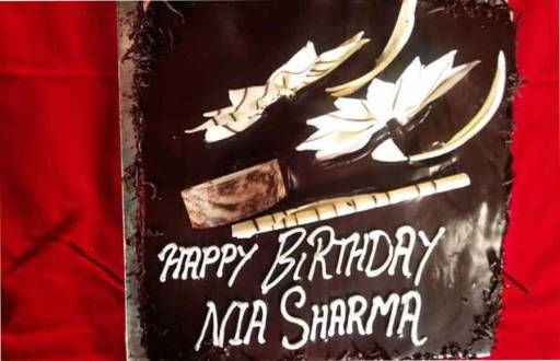 Nia Sharma celebrates her birthday with Team Ishq Mein Marjawan