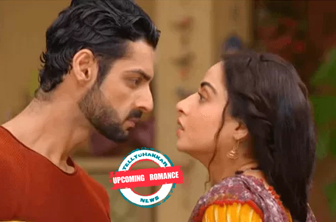 Channa Mereya: Upcoming Romance! Things start to get romantic between Aditya and Ginni
