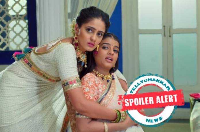 Virat and Sayi announce Pulkit-Devyani’s wedding