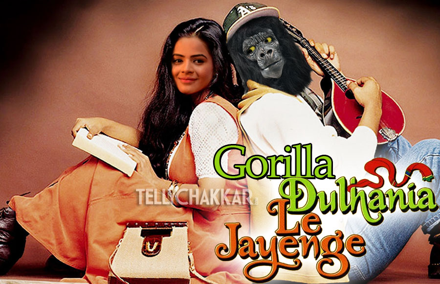 Gorilla Dulhania Le Jayenge