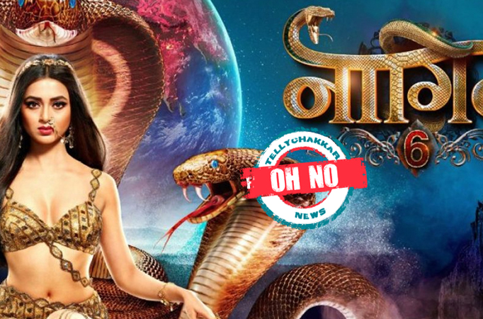 Oh No! Naagin 6 shooting halted due to this reason, Check out 