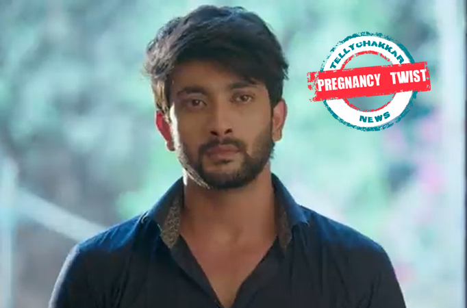Imlie: Pregnancy TWIST! Aryan and Imlie announce the BIG news to the Rathore family Imlie: Pregnancy TWIST! Aryan and Imlie announce the BIG news to the Rathore family