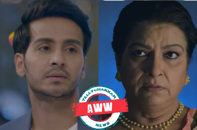AWW! Ishq Par Zor Nahi: Ahaan explains to Daadi how to maintain relations Ishq Par Zor Nahi