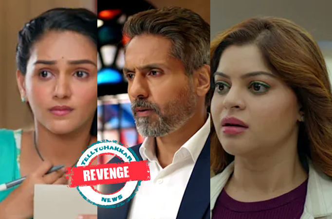 Na Umr Ki Seema Ho: Revenge! Amba makes a masterplan to ruin Vidhi’s image in front of Dev Na Umr Ki Seema Ho: Revenge! Amba makes a masterplan to ruin Vidhi’s image in front of Dev