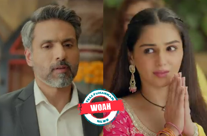 Na Umra Ki Seema Ho: Oh No! Vidhi thinks Dev too has feelings for her, Dev scolds her at the office Na Umra Ki Seema Ho: Oh No! Vidhi thinks Dev too has feelings for her, Dev scolds her at the office
