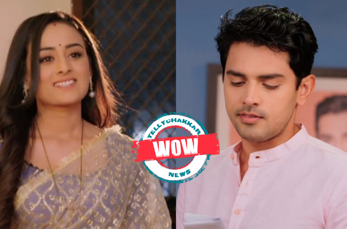 Wow! SNS 2: Anant's doppelganger to save Gehna Wow! SNS 2: Anant's doppelganger to save Gehna