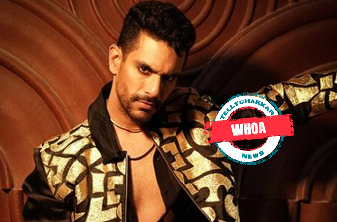 Angad Bedi Angad Bedi