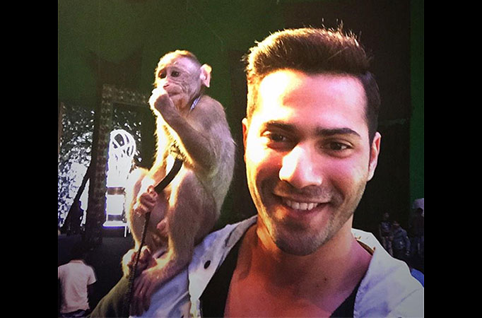 Varun Dhawan Varun Dhawan