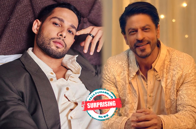 Surprising! When Siddhant Chaturvedi queued for a fake audition for Shah Rukh Khan starrer ‘Josh’ sequel Surprising! When Siddhant Chaturvedi queued for a fake audition for Shah Rukh Khan starrer ‘Josh’ sequel