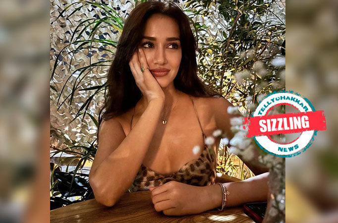 Disha Disha