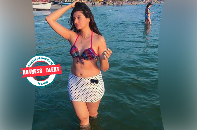 Hamsa Nandini Hamsa Nandini