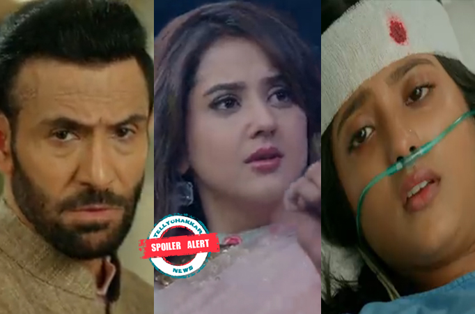 Spoiler Alert! Banni Chow Home Delivery: Banni has a plan to get Hemant’s confession, asks Tulika for support Spoiler Alert! Banni Chow Home Delivery: Banni has a plan to get Hemant’s confession, asks Tulika for support