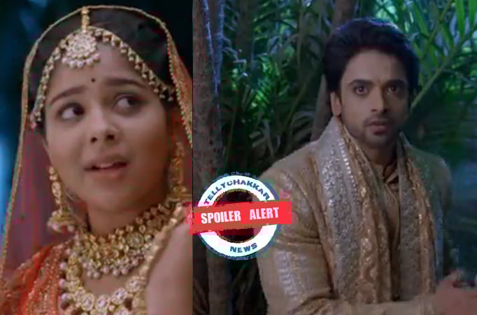 Spoiler Alert! Faltu: Ayaan’s life in danger, Faltu has to make a choice Spoiler Alert! Faltu: Ayaan’s life in danger, Faltu has to make a choice