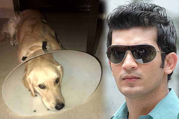 Arjun Bijlani with his pet dog Boozy