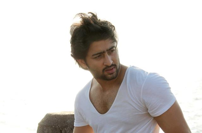 Shaheer Sheikh