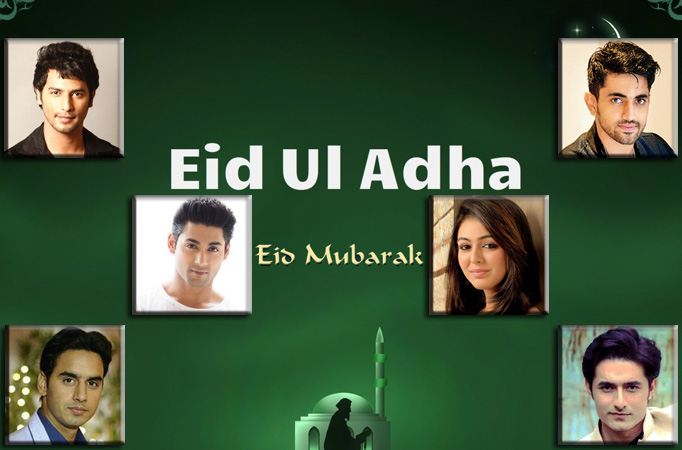 TV celebs and their plans for the day TV celebs and their plans for the day