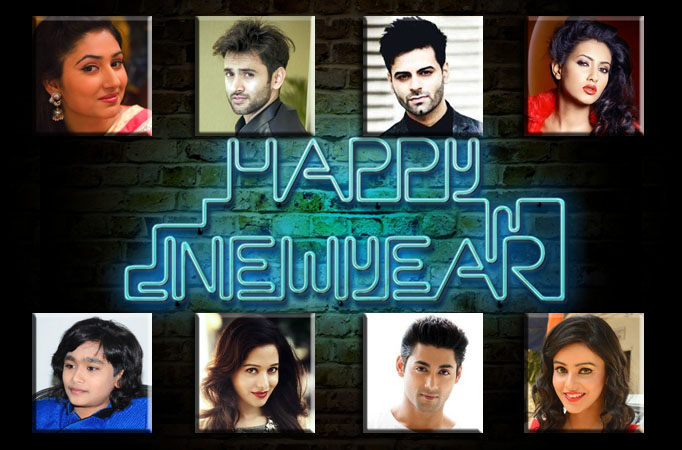 TV celebs and their New Year plans TV celebs and their New Year plans