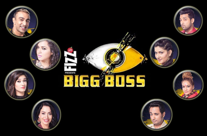 Bigg Boss 11 Bigg Boss 11