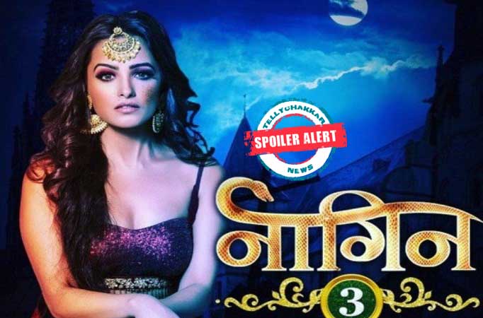 Finally! Mahir regains memory; chooses Bela in Naagin 3 Naagin 3