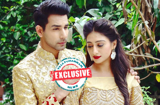 We tried extremely hard to reconcile: Mohena Kumari Singh on fallout with Rishi Dev Rishi Dev