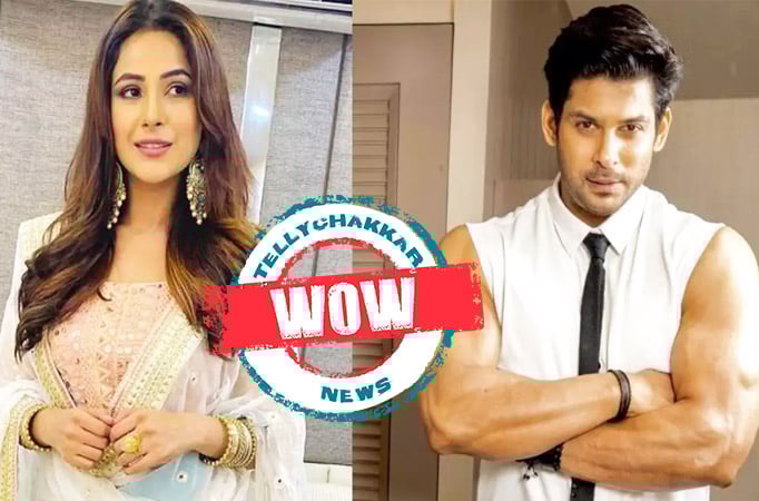 WOAH! Shehnaaz Gill FINALLY reveals if she will do a film with Siddharth Shukla; read on Shehnaaz Gill