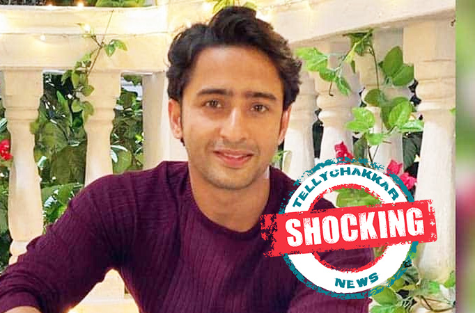 Shocking! THIS is what Shaheer Sheikh will do if he woke up as a woman Shocking! THIS is what Shaheer Sheikh will do if he woke up as a woman