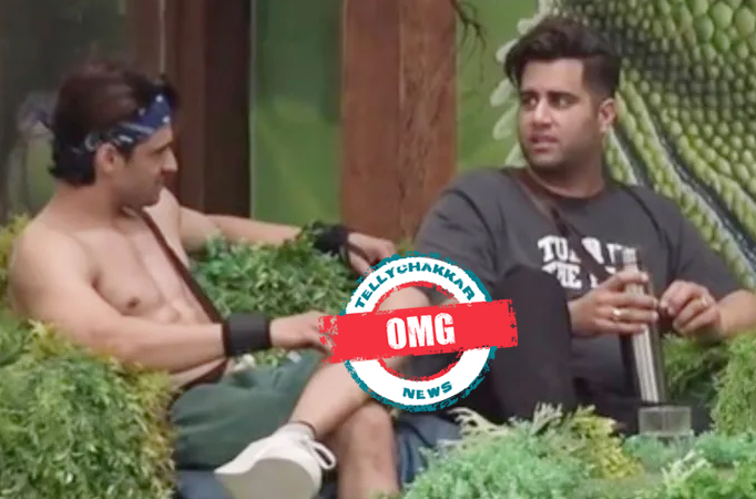 Bigg Boss 15: OMG! Rajiv Adatia tells Ieshaan Sehgal that he looks STUPID outside due to THIS REASON Rajiv Adatia