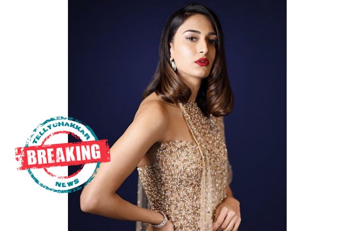 Erica Fernandes Erica Fernandes