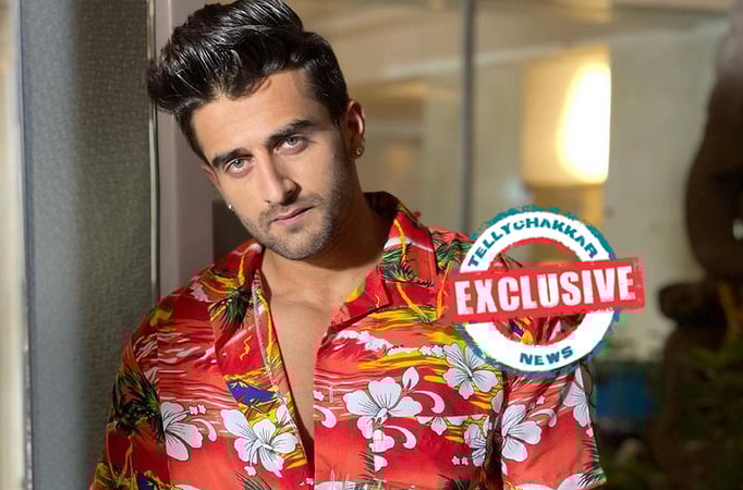 EXCLUSIVE! 'I would have been a SINGER if not acting' Vidrohi's Zayn Ibad Khan gets CANDID about his hobbies, diet and more Zayn Ibad Khan