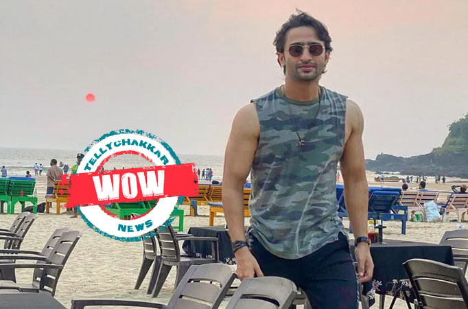 Shaheer-wow Shaheer-wow