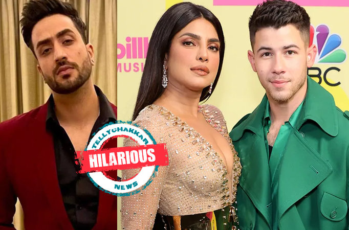 HILARIOUS: Here is what Aly Goni has to say about Priyanka Chopra and Nick Jonas’ DIVORCE rumours! Aly Goni