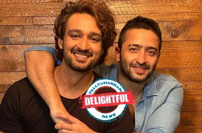 DELIGHTFUL! After Mahabharat Shaheer Sheikh and Saurabh Raj Jain reunite and how! DELIGHTFUL! After Mahabharat Shaheer Sheikh and Saurabh Raj Jain reunite and how!