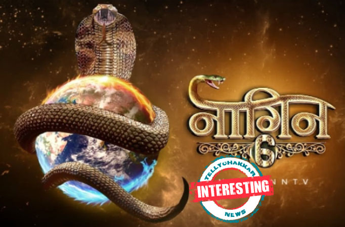 Naagin 6 Naagin 6
