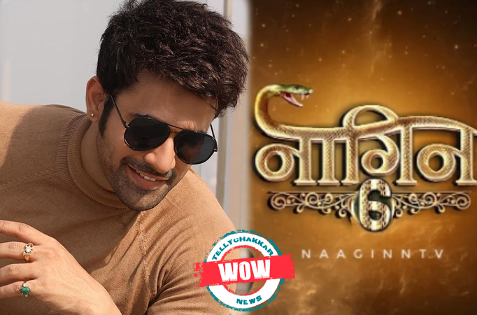 WOW! Naagin 6: Pearl V Puri is back In Naagin, You cannot miss the FIRST LOOK! WOW! Naagin 6: Pearl V Puri is back In Naagin, You cannot miss the FIRST LOOK!