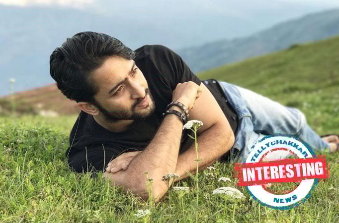 Shaheer Sheikh Shaheer Sheikh