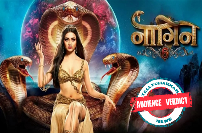 Naagin 6 Naagin 6