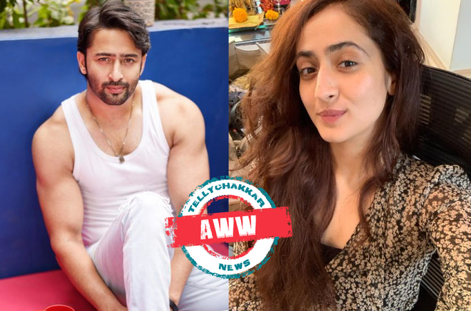 shaheer shaheer