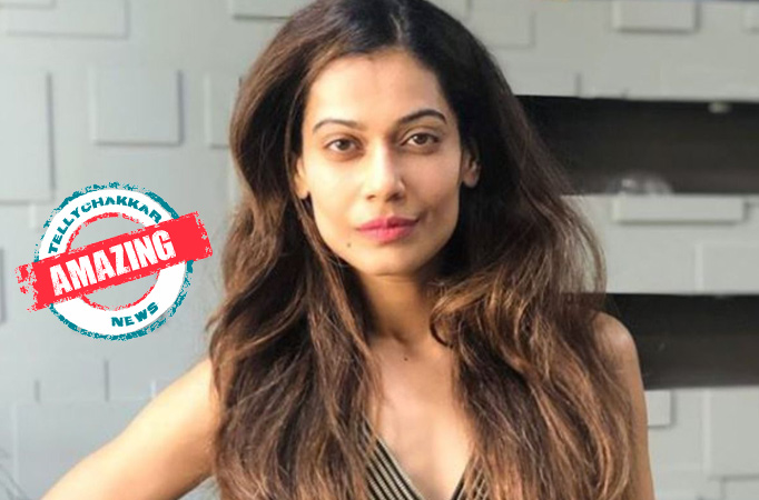 Payal Rohatgi Payal Rohatgi