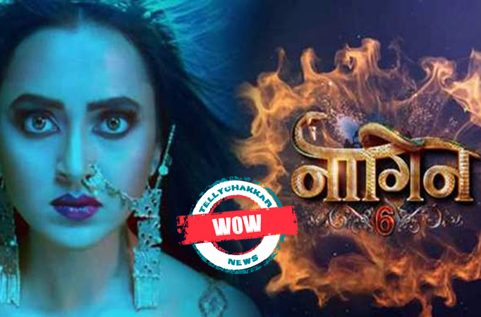 Wow! Naagin 6 gets an extension; deets inside Wow! Naagin 6 gets an extension; deets inside