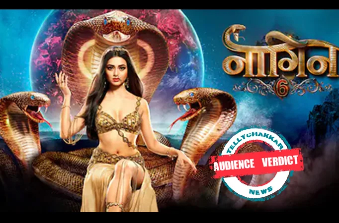 Audience Verdict! Netizens feel that the makers of Naagin 6 really need donation to get Naagmani out of the crisis Audience Verdict! Netizens feel that the makers of Naagin 6 really need donation to get Naagmani out of the crisis