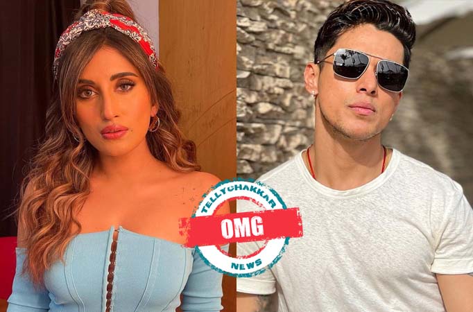 OMG! Akasa Singh finally breaks her silence on her feelings for Pratik Sehajpal OMG! Akasa Singh finally breaks her silence on her feelings for Pratik Sehajpal